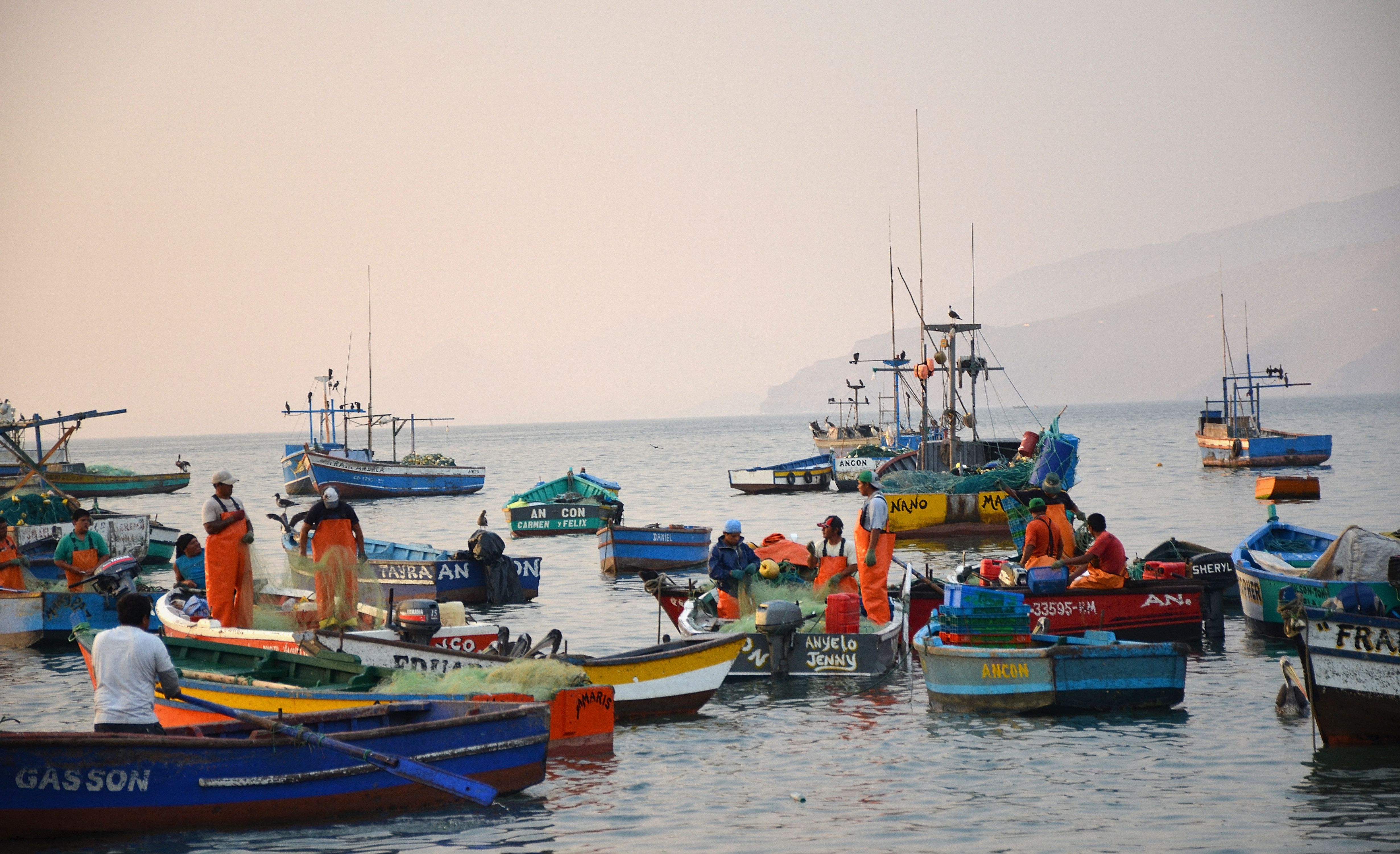 small scale fishing boats