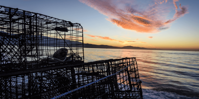 traps at sunset